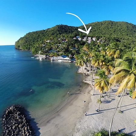 فندق Oasis Marigot المظهر الخارجي الصورة