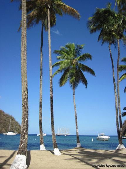 فندق Oasis Marigot المظهر الخارجي الصورة